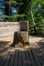 A seat made by tree at Pictured Rock National Lakeshore Michigan