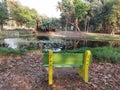 A seat and a pond with fallen leaves at calcutta botanic garden,