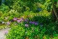 Seatac Flowers Garden