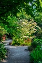 Seatac Garden Path Flowers Royalty Free Stock Photo