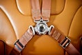 Seatbelt in the private plane Royalty Free Stock Photo
