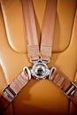 Seatbelt in the private plane Royalty Free Stock Photo