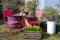 Seating area, red chairs, round table, primroses. Garden corner with wooden box planted with yellow daffodils and blue grape hyaci Royalty Free Stock Photo