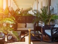 Wicker sofas with palm trees in the relaxing area. Luxury seating area in the shade. The seating area is fenced off with Royalty Free Stock Photo