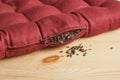 seating cushion filled with buckwheat husk Royalty Free Stock Photo