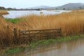 Seaton Wetlands Nature Reserve in Devon