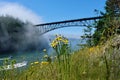 Scenic view of Deception Pass Bridge in summer day with fog and wildflowers on cliff. Royalty Free Stock Photo