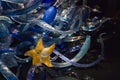 Seattle Chihuly Garden Glass yellow sea star Royalty Free Stock Photo