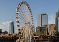 Seattle Great Wheel