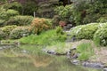 Seattle Japanese garden Royalty Free Stock Photo