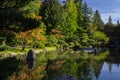 Seattle Japanese Garden/ Zen Lake Royalty Free Stock Photo