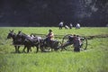 Confederate artillery moves into position Royalty Free Stock Photo