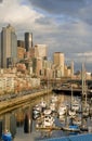 Seattle marina