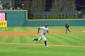 Ichiro Suzuki, Seattle Mariners Baseball Game