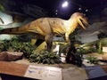 Dinosaur Exhibit