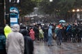 Seattle rioters on May 30 watching a police car burn Royalty Free Stock Photo