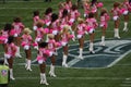 Seattle seagals show their support Royalty Free Stock Photo
