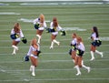 Seattle Seahawk Cheerleaders Royalty Free Stock Photo