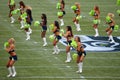 The Seattle Seahawk Seagals Royalty Free Stock Photo