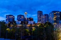 Seattle Skyline at night Royalty Free Stock Photo