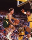 Tom Chambers Royalty Free Stock Photo