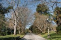 Seattle, USA. March 2022. Commodore park. Hiram Chittenden Locks, or Ballard Lacks, a complex of looks at the west end of Salmon Royalty Free Stock Photo