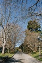 Seattle, USA. March 2022. Commodore park. Hiram Chittenden Locks, or Ballard Lacks, a complex of looks at the west end of Salmon Royalty Free Stock Photo