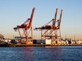 Cargo cranes at the port of Seattle at sunset Royalty Free Stock Photo