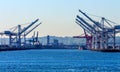 Seattle Washington Port with Red White Cranes and Freighters