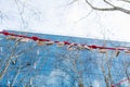 Seattle, Washington, USA. March 2020. Red rope with wooden signs on Pioneer Square