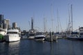 Seattle Waterfront boatyard Royalty Free Stock Photo