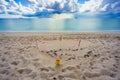 Seaturtle nesting on Fort Lauderdale Beach August 2023 Royalty Free Stock Photo