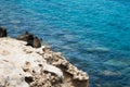 Seaview on the beach, sunny day on Protaras