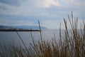 Seaview from the shore with grass in the foreground, seascape, sea and mountain views.