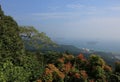 Skywalk glass bridge  8 in Yalong Bay Tropical Paradise Forest Park - Hainan Island Royalty Free Stock Photo