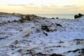 Seaview from The Snowy Highlands of Iceland in Winter