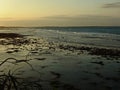 The seawater wave border to exposed rocky seabed in lowest low tide on sunset