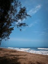 Seawave sea trees seaside bluesea Royalty Free Stock Photo