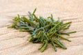Seaweed Royalty Free Stock Photo