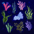 Seaweed and aquatic marine algae set, underwater plants