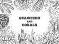 Seaweed background. Reef aquatic weed and corals, underwater ocean and aquarium life. Marine japanese, chinese food