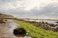 Seaweed on the beach Robin Hoods Bay Royalty Free Stock Photo