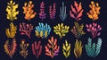 A seaweed cartoon modern set of underwater ocean and aquarium plants with colorful leaves. Illustrations of marine algae Royalty Free Stock Photo