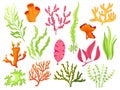 Seaweed. Cartoon seaweeds, kelp and corals. Aquatic plants with leaves. Natural marine and aquarium elements, water Royalty Free Stock Photo