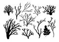 Seaweed, coral and algae set. Different silhouettes of underwater fauna. Black hand drawn vector illustration