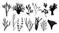 Seaweed, coral and algae set. Different silhouettes of underwater fauna. Black hand drawn vector illustration