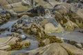 Seaweed covered rocks in Nova Scotia