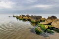 Seaweed covered stones in seawater. Beach on the Baltic Sea in Central Europe. Royalty Free Stock Photo