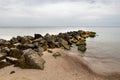 Seaweed covered stones in seawater. Beach on the Baltic Sea in Central Europe. Royalty Free Stock Photo