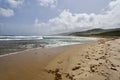 The seaweed-covered Walkers Beach in the east-north side of Barbados island